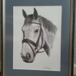 Horse Drawing,2013