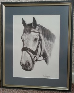 Horse Drawing,2013