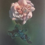 Rose Study,2010